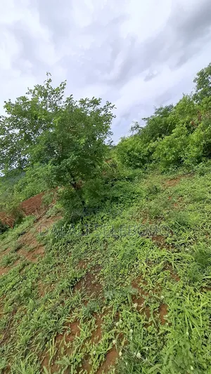 Plot at Dakawa Hector 30 Farming