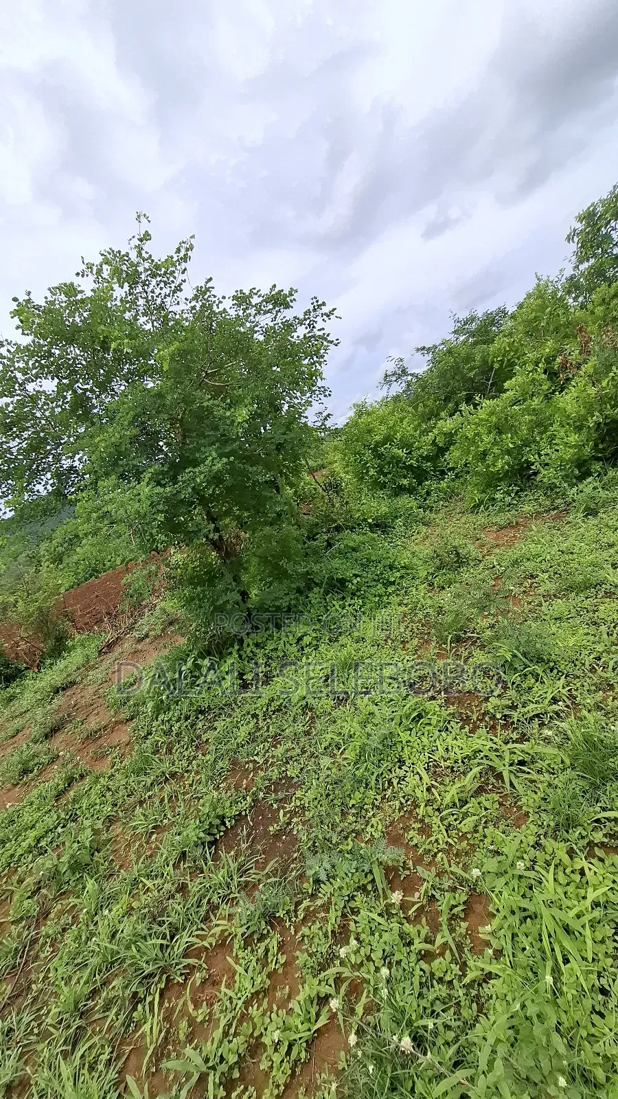 Plot at Dakawa Hector 30 Farming