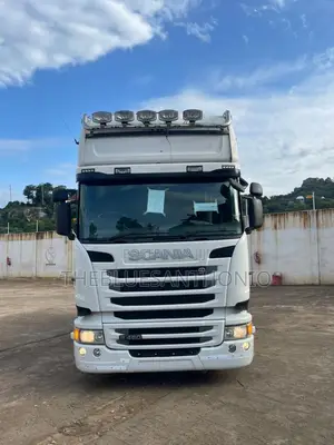Scania Horse on Sale