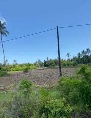 Commercial Plot for Sale at Zanzibar