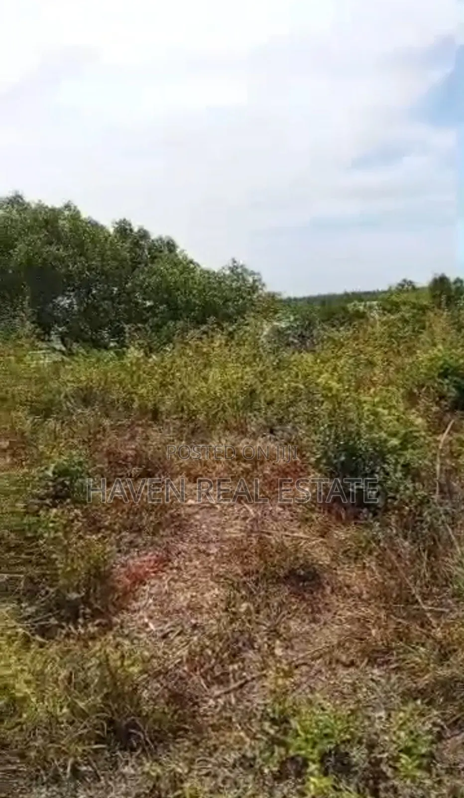 Beach Plot for Sale at Zanzibar Pongwe