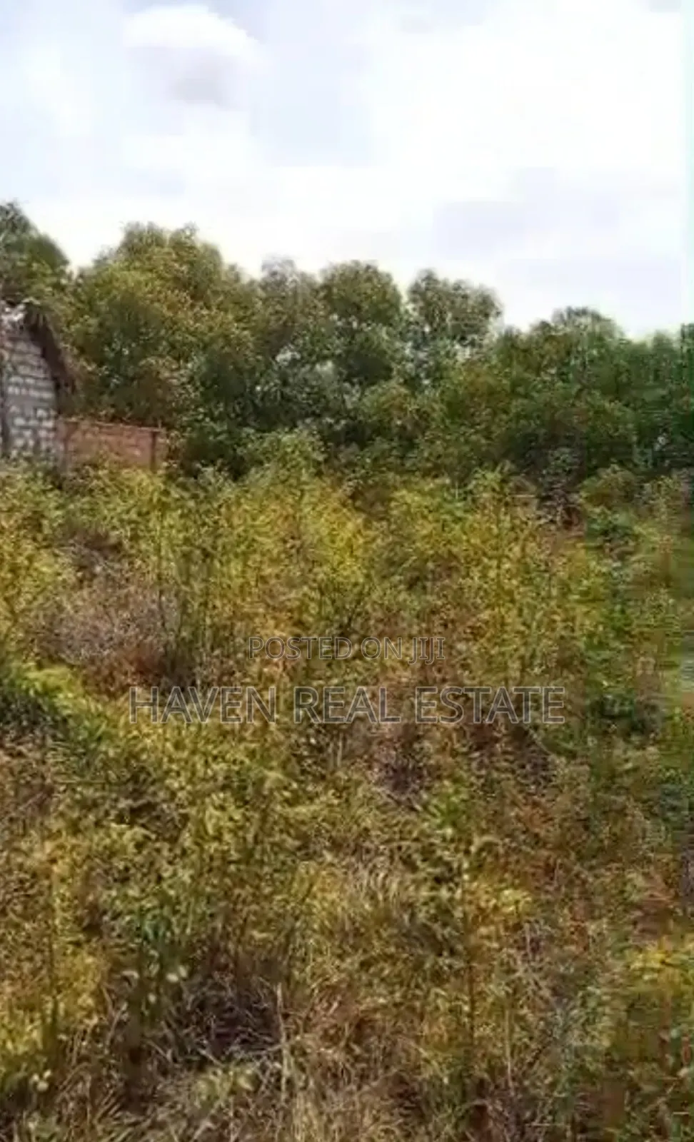 Beach Plot for Sale at Zanzibar Pongwe