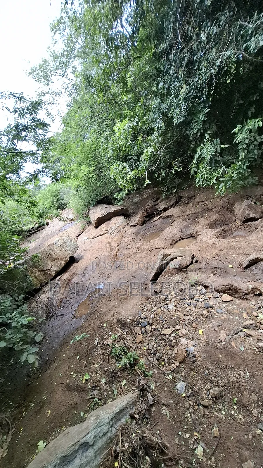 Permit Available Hector 150 for Pebbles in Msata