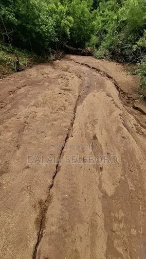 Permit Available Hector 150 for Pebbles in Msata