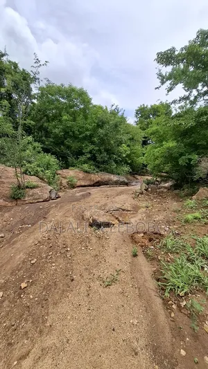 Permit Available Hector 150 for Pebbles in Msata