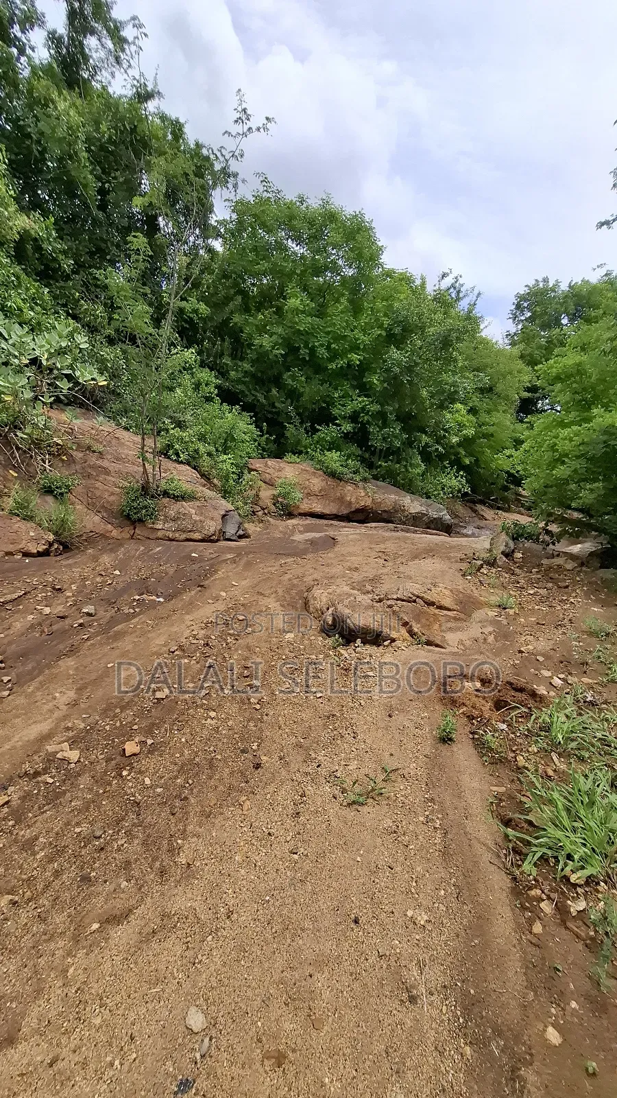 Permit Available Hector 150 for Pebbles in Msata