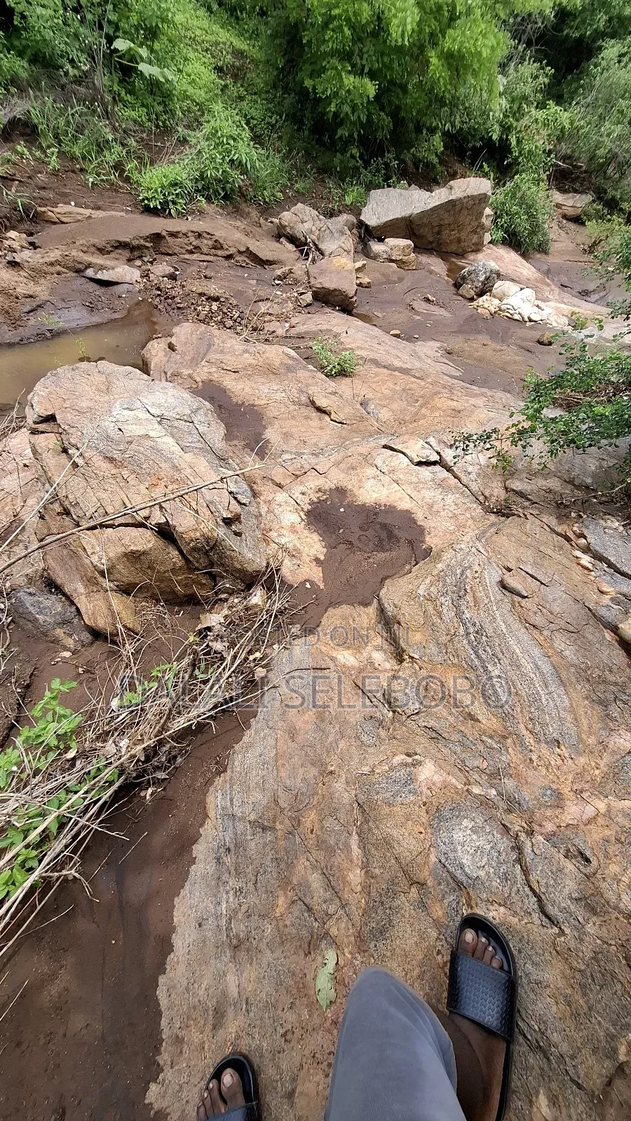 Permit Available Hector 150 for Pebbles in Msata