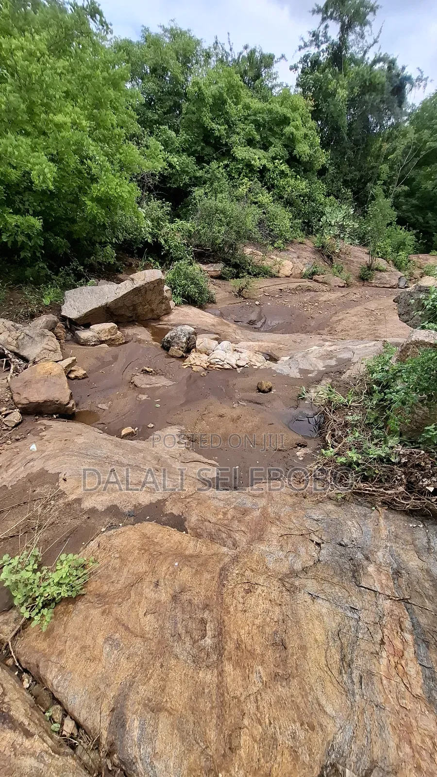 Permit Available Hector 150 for Pebbles in Msata