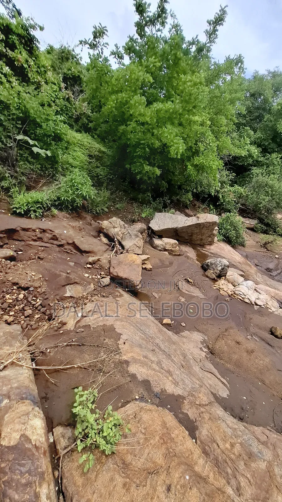 Permit Available Hector 150 for Pebbles in Msata