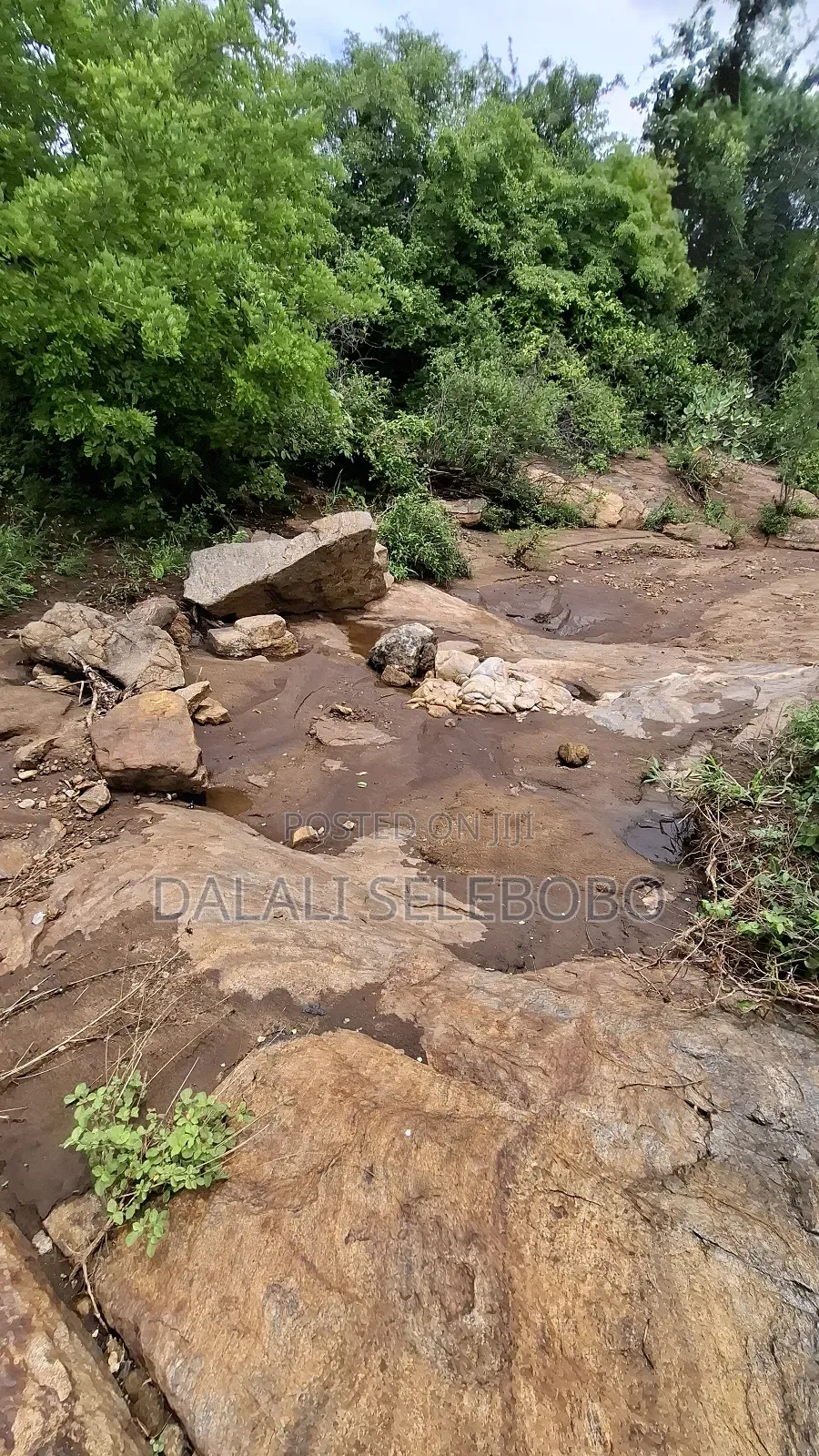 Permit Available Hector 150 for Pebbles in Msata