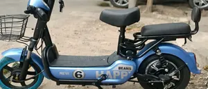 Electric Bicycle