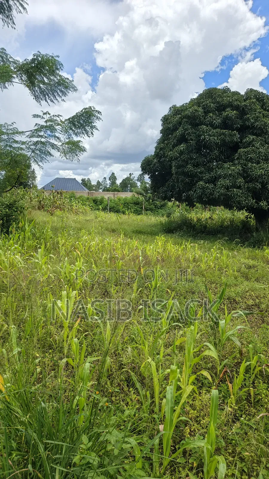 Plot for Sale Square Meters 6300