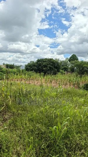 Plot for Sale Square Meters 6300