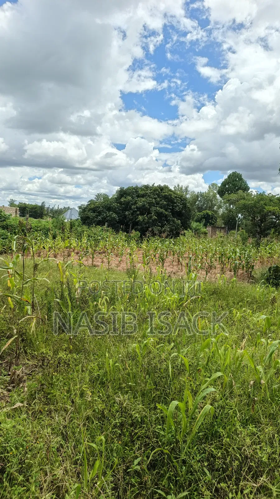 Plot for Sale Square Meters 6300