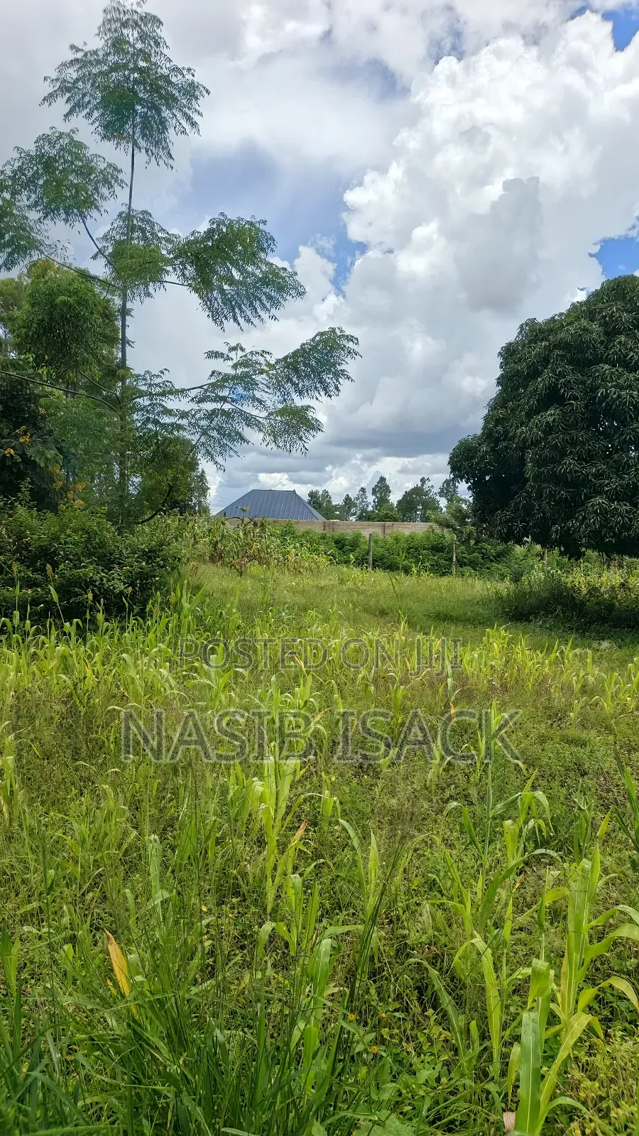 Plot for Sale Square Meters 6300