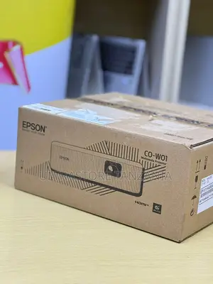 Epson Epiqvision Projector