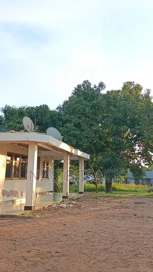 Plot for Sale Mwanza Ilemera Airport, Squire Metre 2650