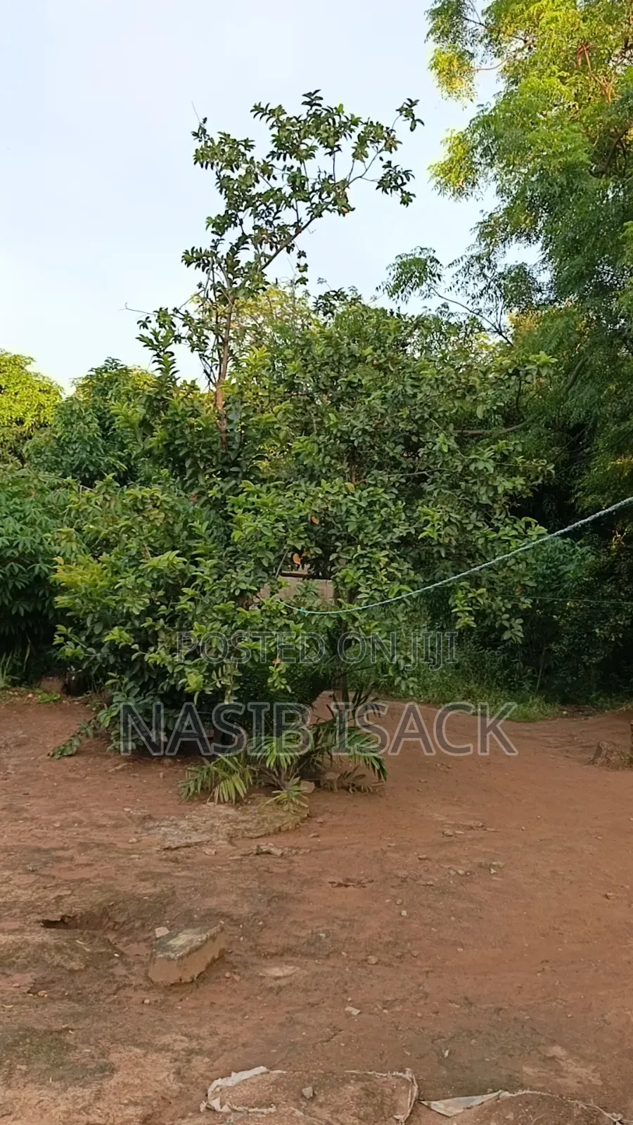Plot for Sale Mwanza Ilemera Airport, Squire Metre 2650