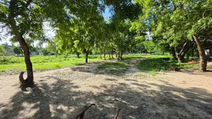 Plot Area SQM 1000 for Sale at Salasala