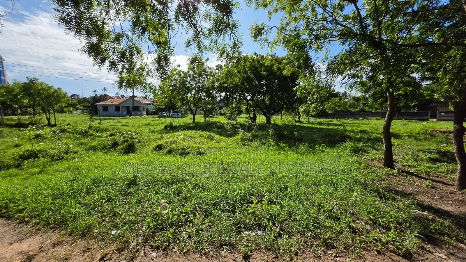 Plot Area SQM 1000 for Sale at Salasala