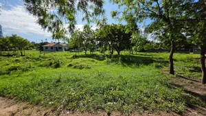 Plot Area SQM 1000 for Sale at Salasala