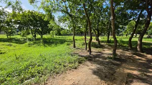 Plot Area SQM 1000 for Sale at Salasala