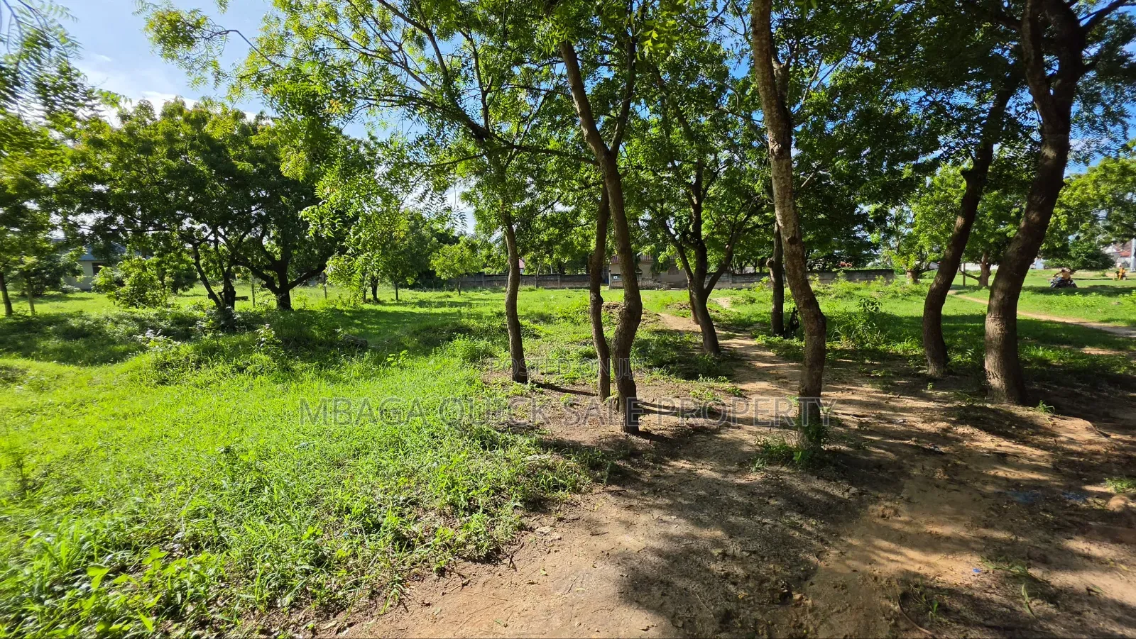 Plot Area SQM 1000 for Sale at Salasala