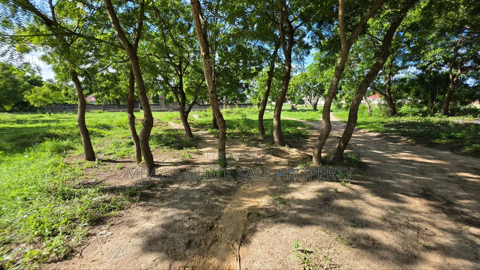 Plot Area SQM 1000 for Sale at Salasala