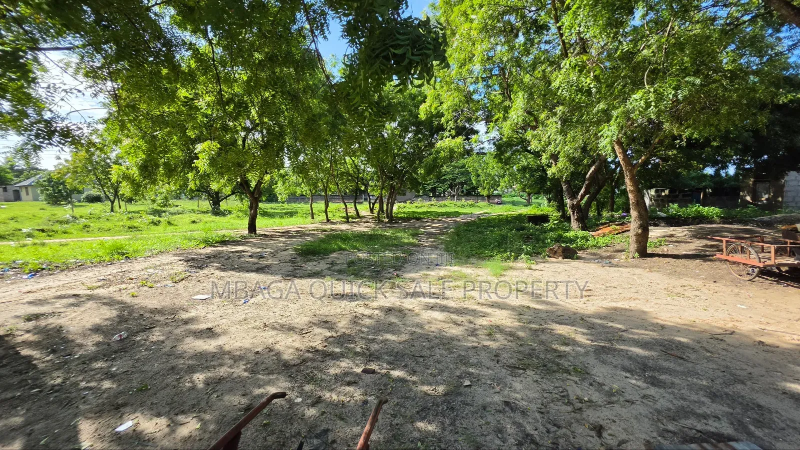 Plot Area SQM 1000 for Sale at Salasala