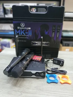Bigsong Wireless Microphone 