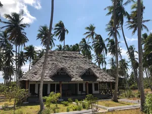 2bdrm House in Mafia Island for sale