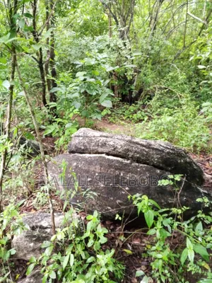 50 Hector of Mine Gravel at Lugoba