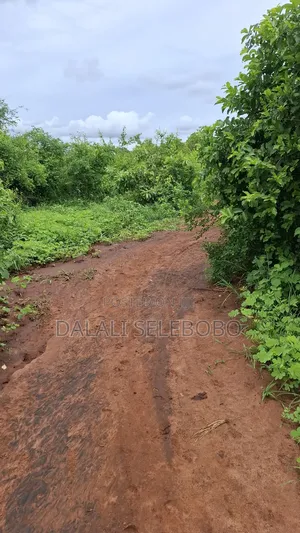 50 Hector of Mine Gravel at Lugoba