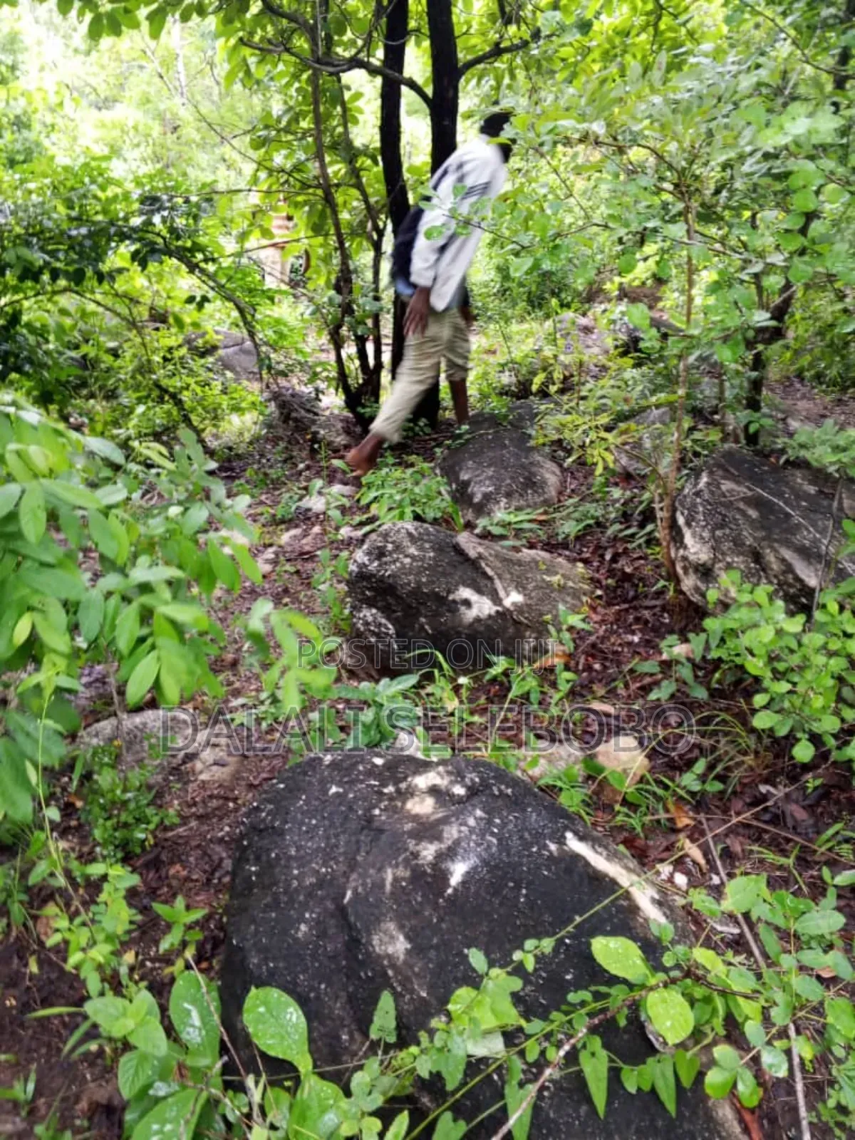26 at Ubena Crushing Stone Gravel Hector 26