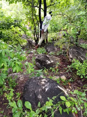 26 at Ubena Crushing Stone Gravel Hector 26