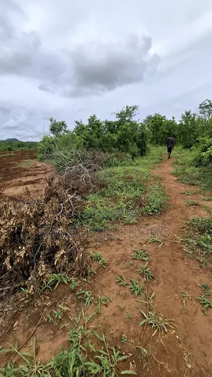 26 at Ubena Crushing Stone Gravel Hector 26