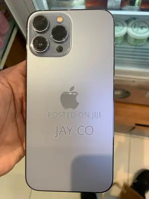 Apple iPhone 13 Pro Max 256 GB Gray