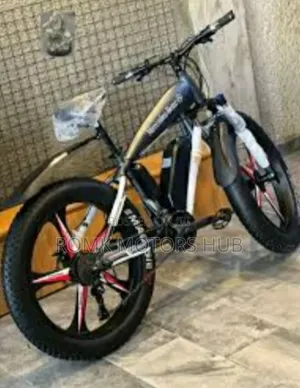 Electrical Bike
