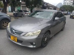 Toyota Mark X 2.5 AWD 2010 Gray