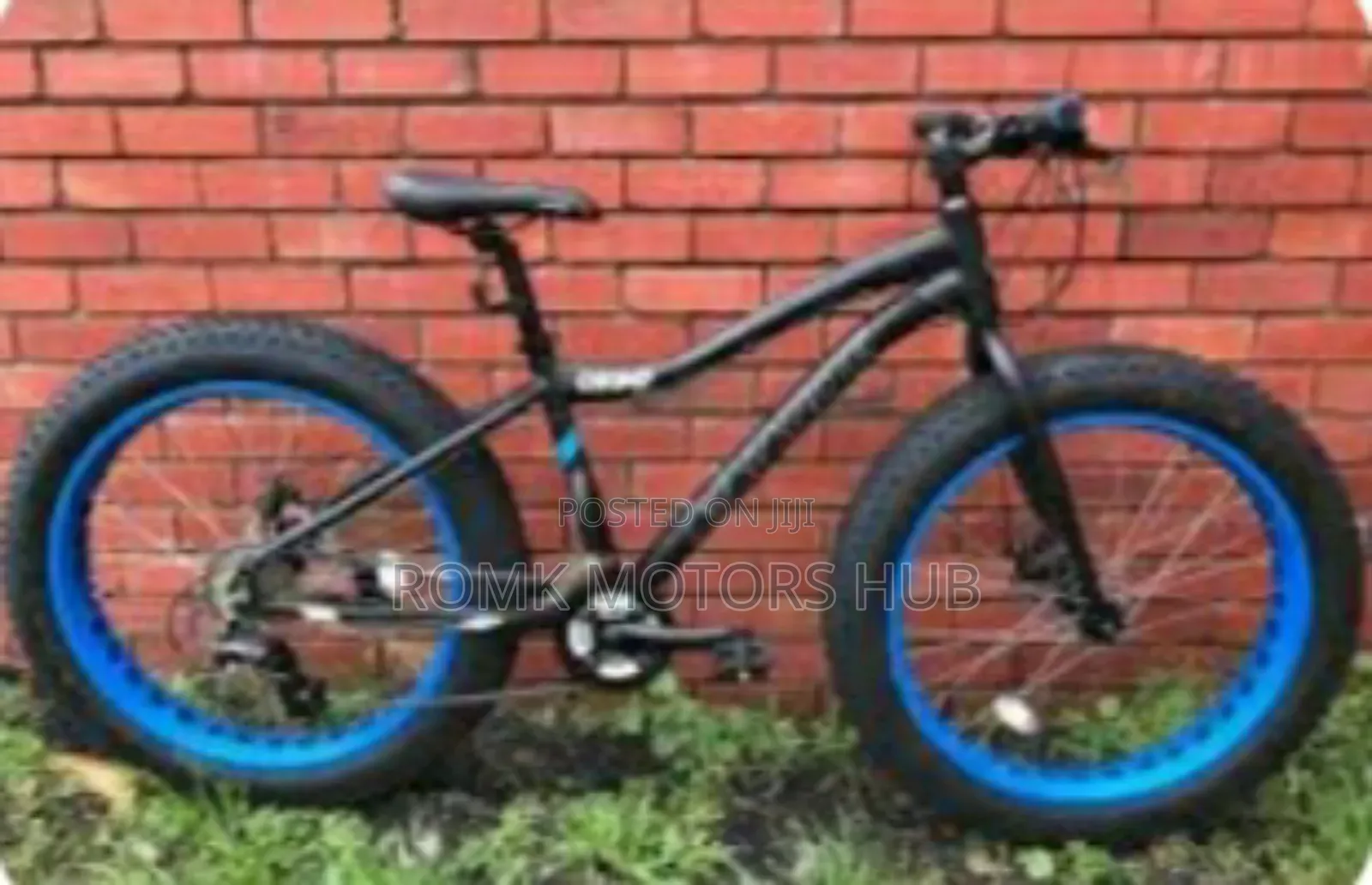 Fat Tire Bicycle