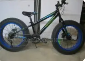 Fat Tire Bicycle