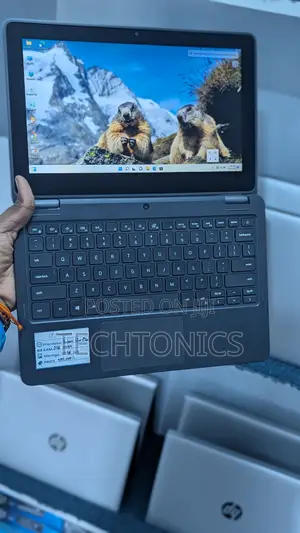 Laptop Dell Latitude 3120 8GB Intel Celeron SSD 128GB