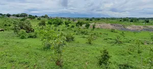 Kiwanja Kinauzwa Mbweni Mpiji Chapili Toka Barabara Kuu
