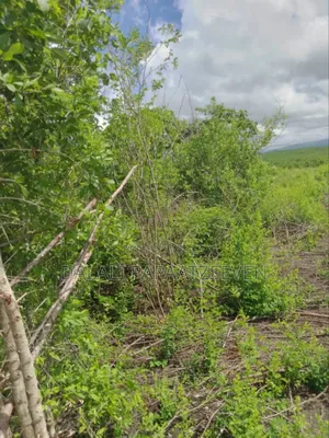 Shamba Ambalo Lipo Kalibu Na Mto Linauzwa Lipo Kiwangwa Lina Heka 50