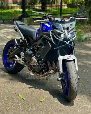 Yamaha 2022 Blue
