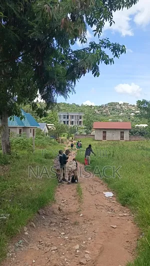 Plot for Sale Mwanza Square Meters 4500