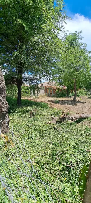 Kiwanja Kinauzwa Tegeta Madale Nyuma Ya Polisi