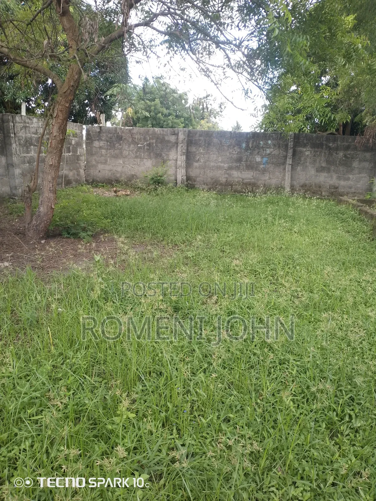 Kiwanja Mita 15 Kwa Mita 13 Kinauzwa Ml 4.4 Majohe Rada.