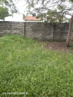 Kiwanja Mita 15 Kwa Mita 13 Kinauzwa Ml 4.4 Majohe Rada.