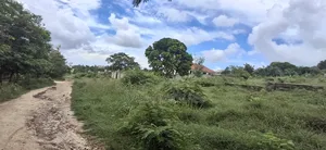 Kiwanja Kinauzwa Bunju